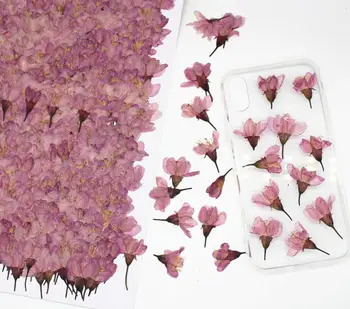 120pcs 2-3 cm Stlačené Sušené Čerešňové Kvety Sakura Kvet Herbarium Pre Epoxidové Živice Šperky, Takže Tvár make-up Nechty Umenie urob si sám