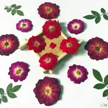 12Pieces Stlačené Reálne Sušené kvety Pol Rezané Ruže pre DIY Domáce Ornament Živica na Odlievanie, Takže Vianočné Dekorácie
