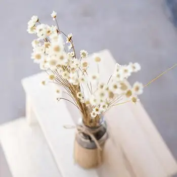 30Pcs Mini Daisy Sušené Kvety Drobné Kvety Kytice Prírodné Rastliny Zachovať Kvetinový Svadobné Dekorácie, Party