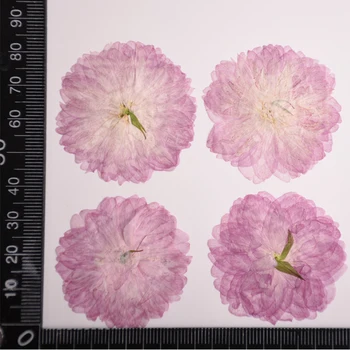 Hot Predaj Pôvodnú Farbu Čerešňa Iphone Prípade Lisované Kvety Pre Pohľadnicu DIY Materiál