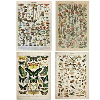 Vintage Encyklopédia Plagáty Motýľ, Húb, Bylín, Kvetov, Hmyzu Klasické Plátno Obrazy Samolepky Na Stenu